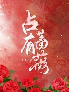 中的蔷薇是什么意思