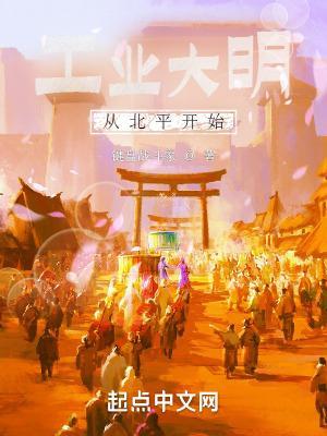 工业大明从北平开始零点看书