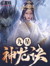 九星神龙诀修炼等级