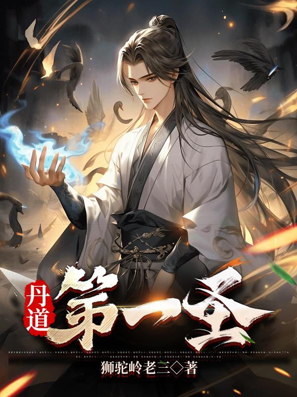 武道丹帝