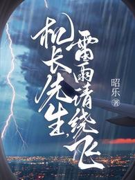 机长先生雷雨请绕飞电视剧