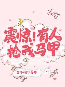 震惊有人抢我马甲TXT