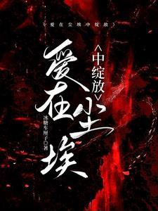 爱在尘埃落定后燃烧