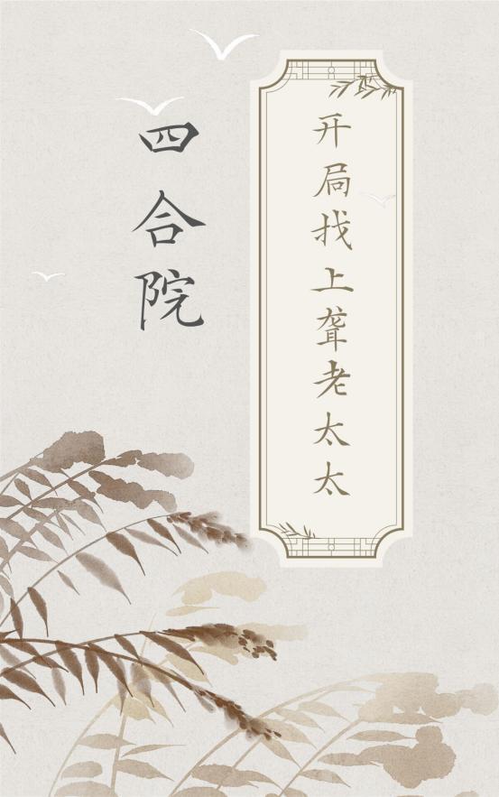四合院开局找上聋老太太 列表