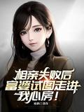 富婆试图走进我心房 在线阅读