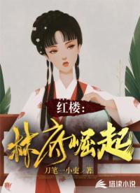 红楼之林府见鬼
