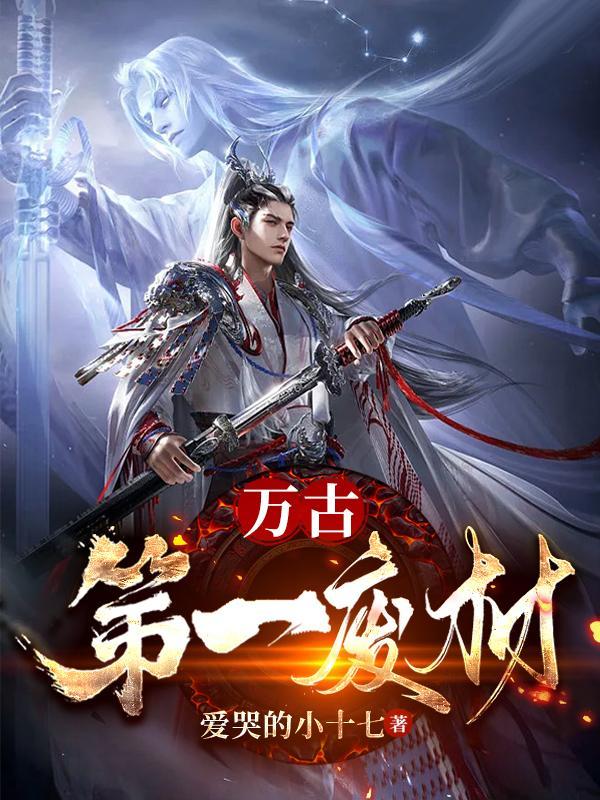 轮回塔 十七