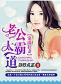 宠妻之老公太霸道 聚合中文网