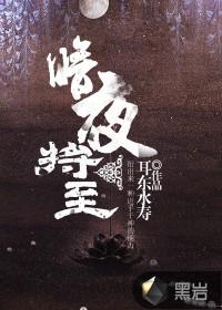 暗夜将至TXT电子书