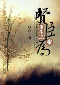 重生之贤臣难为txt微盘