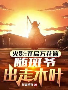 随斑爷出走木叶文件