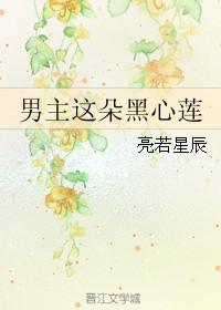 男主这朵黑心莲全文阅读