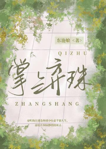 掌上弃珠讲的是什么故事
